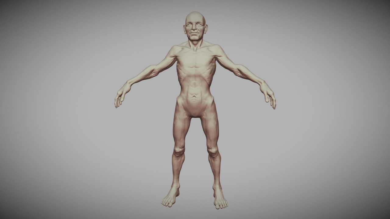 Media 1 for listing Old Male Base Mesh