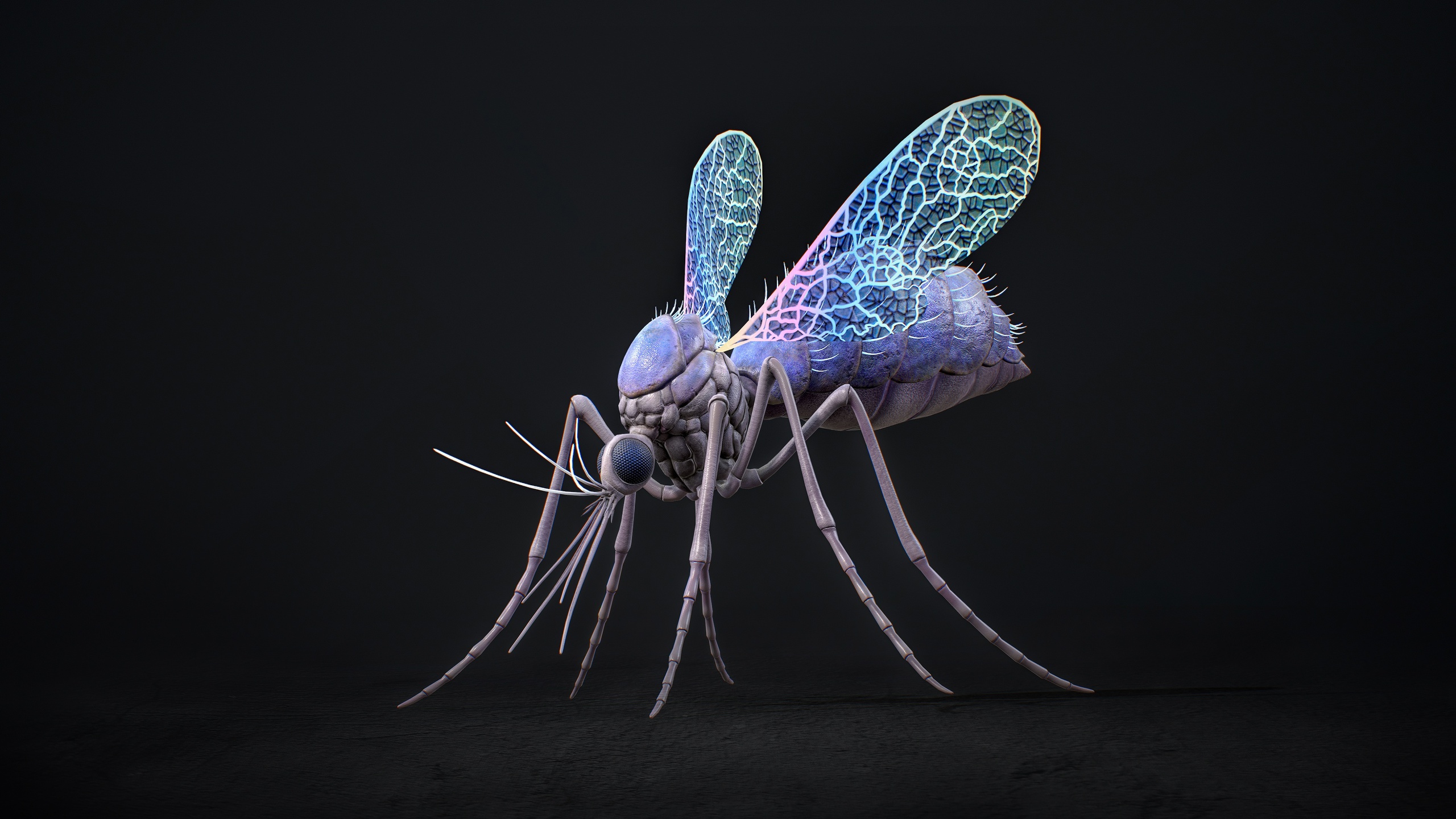 Media 1 for listing Mosquito Queen - Fantasy Magic Mosquitoes