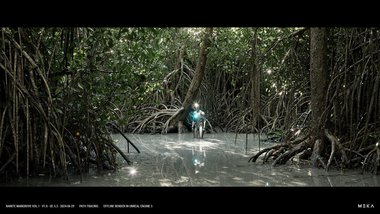 Media 1 for listing MANGROVE FOREST