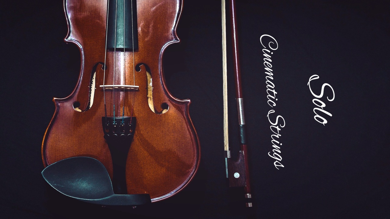 Media 1 for listing Cinematic Solo Strings