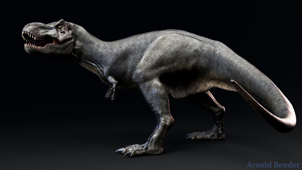 Media 1 for listing Dinosaur - Sub-Adult TRex
