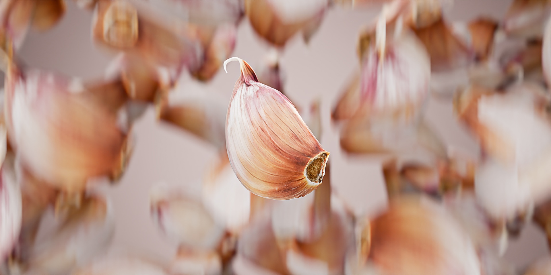 Media 1 for listing 3D Scan - Garlic_Clove_1