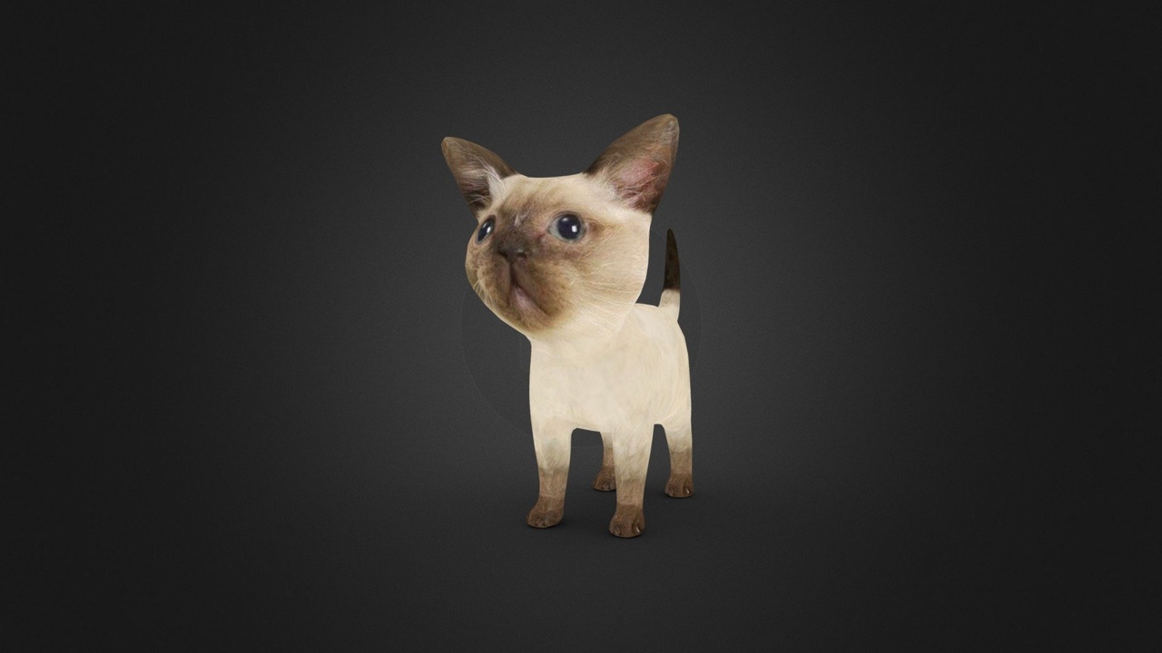 Media 1 for listing Babuleh Cat - Бабулех
