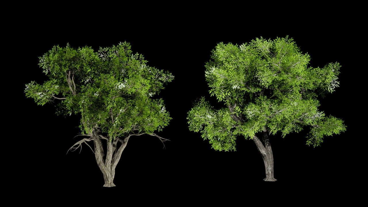 Realistic Trees Pack 5 | Fab