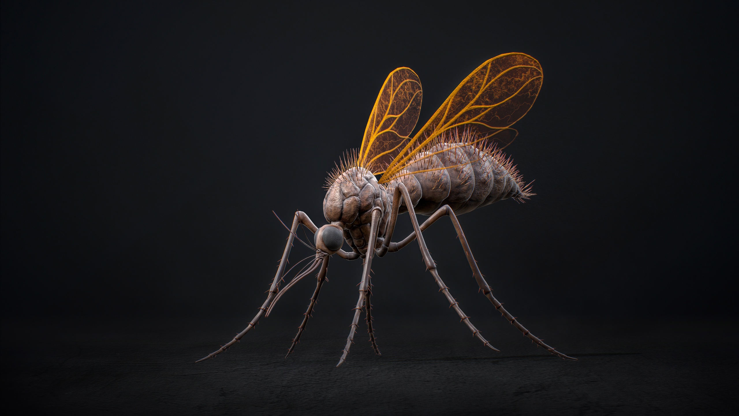 Media 1 for listing Mosquito Defender - Fantasy Cave Mosquitoes