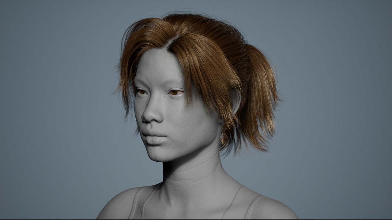 File multimediali per l'articolo Pony Tail 01 -  - MetaHuman Hair Groom: 1