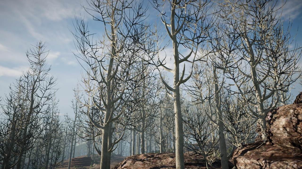 Media 1 for listing Desktop Winter Trees 6 (PC/Console)