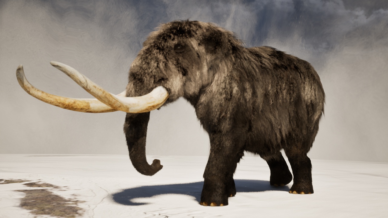 Media 1 for listing The Mastodon