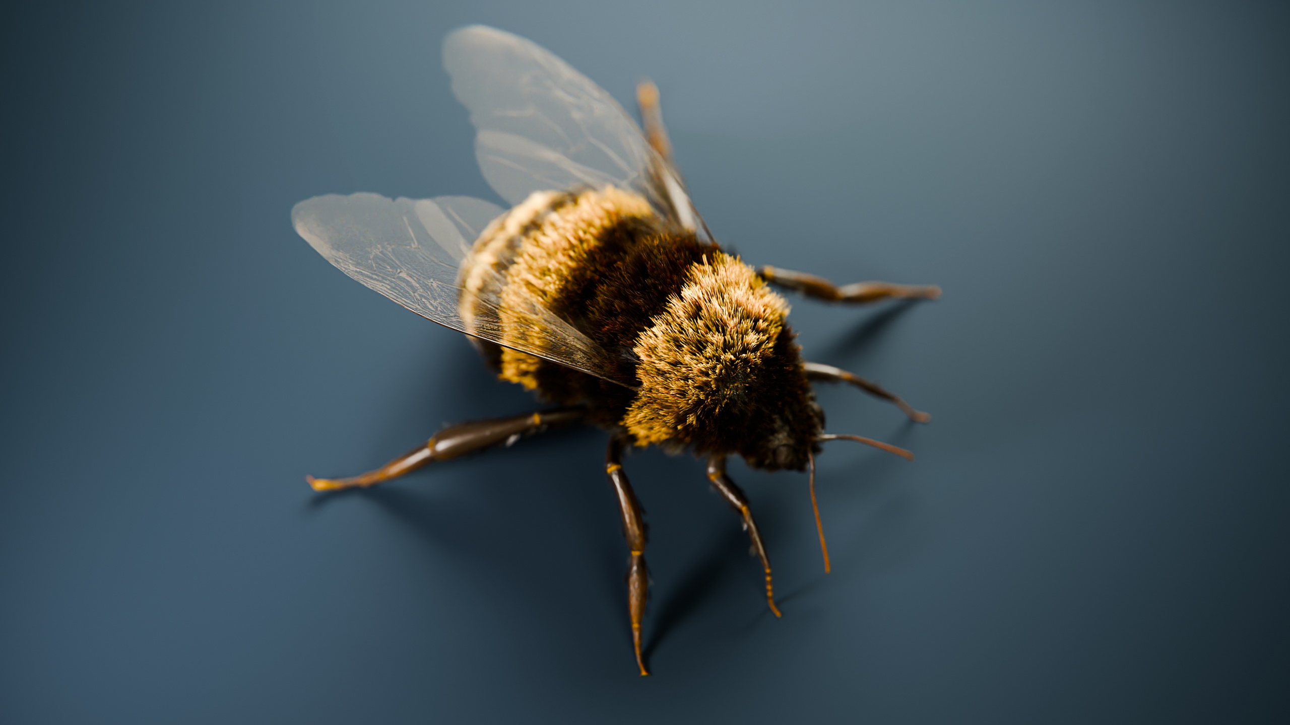 Medium 1 für Eintrag Bumble Bee | Animated