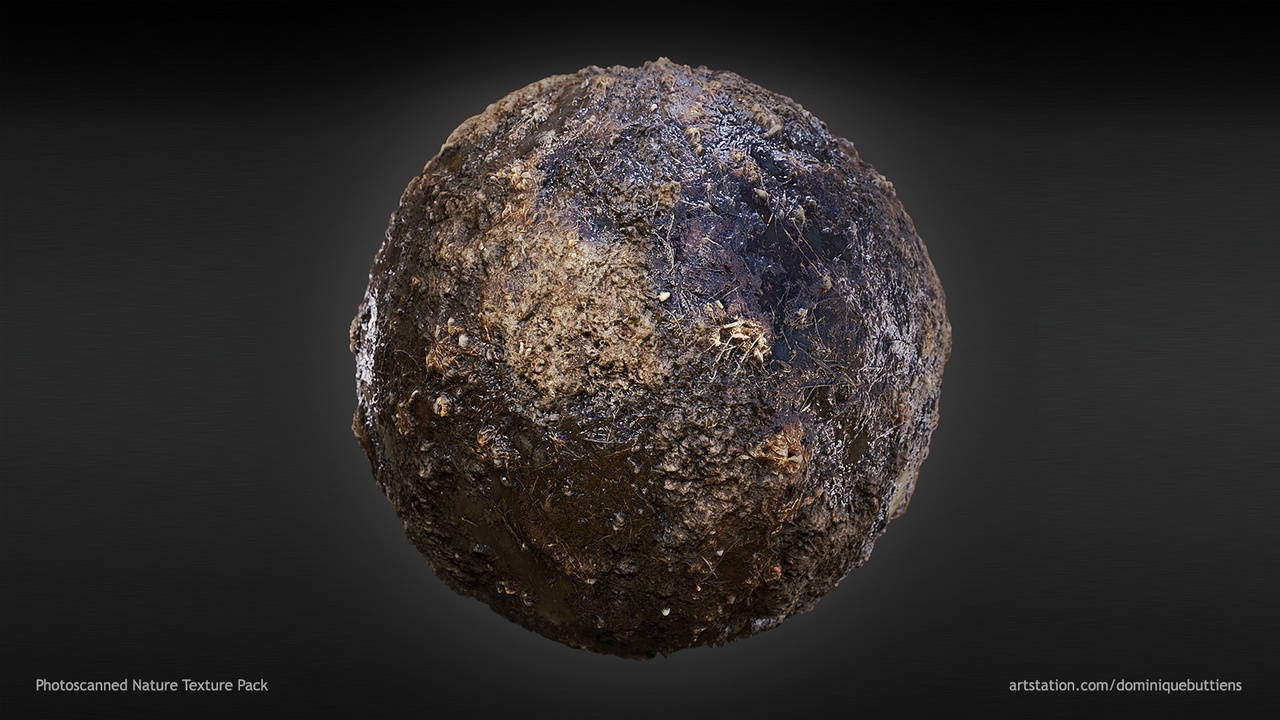 Media 1 for listing Photoscanned Nature Material Pack