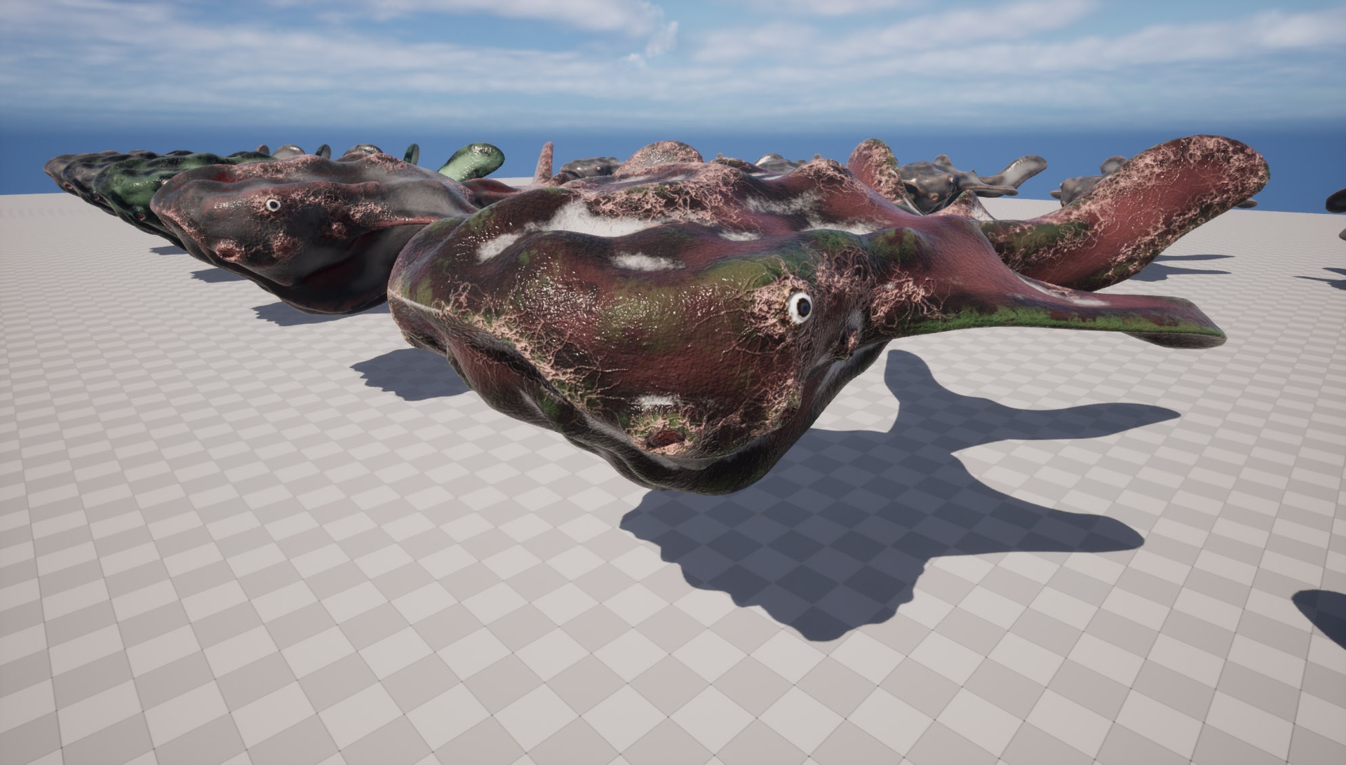 Media 1 for listing Wanderer Whale