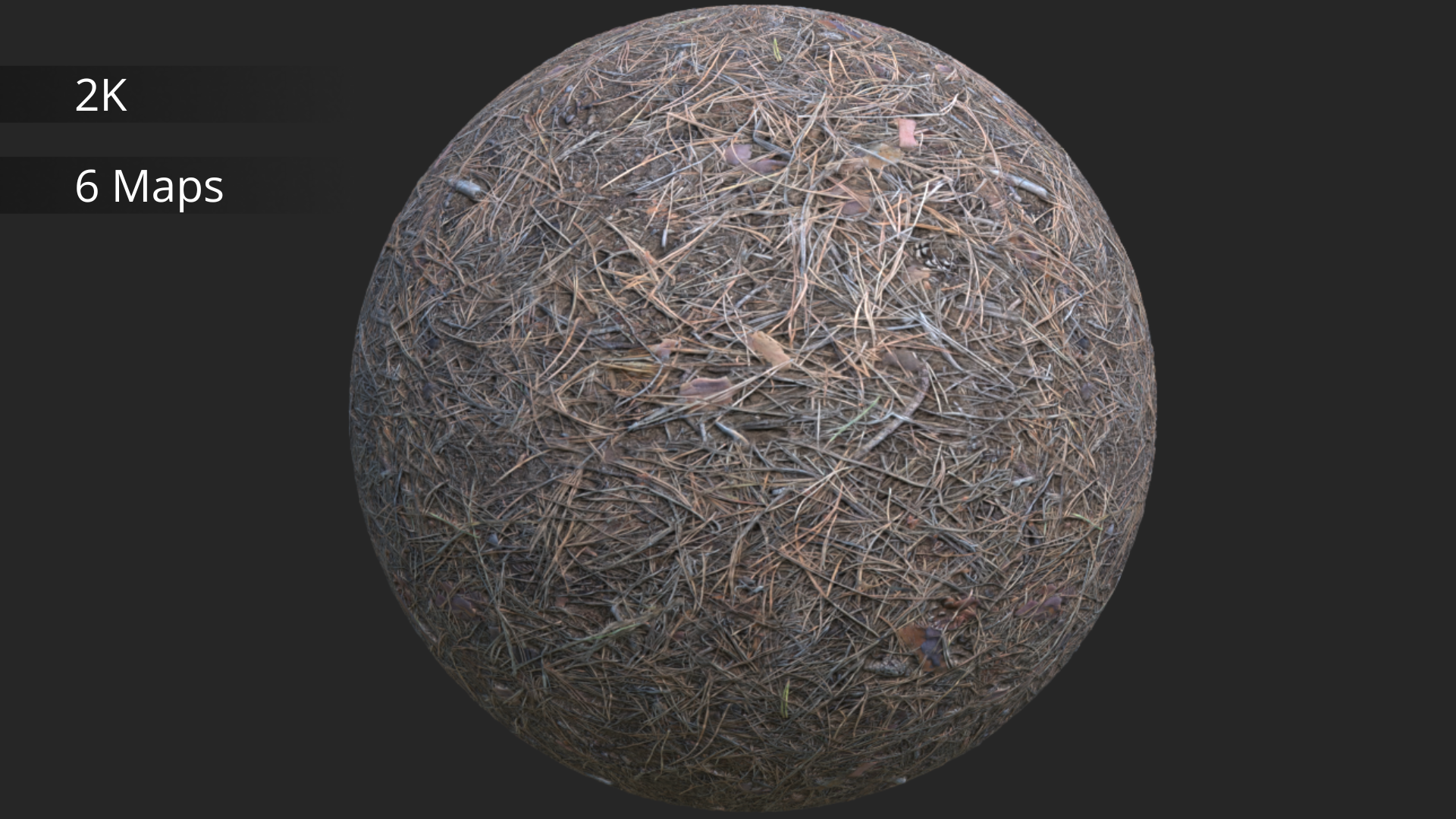 Forest Ground | Material | Fab