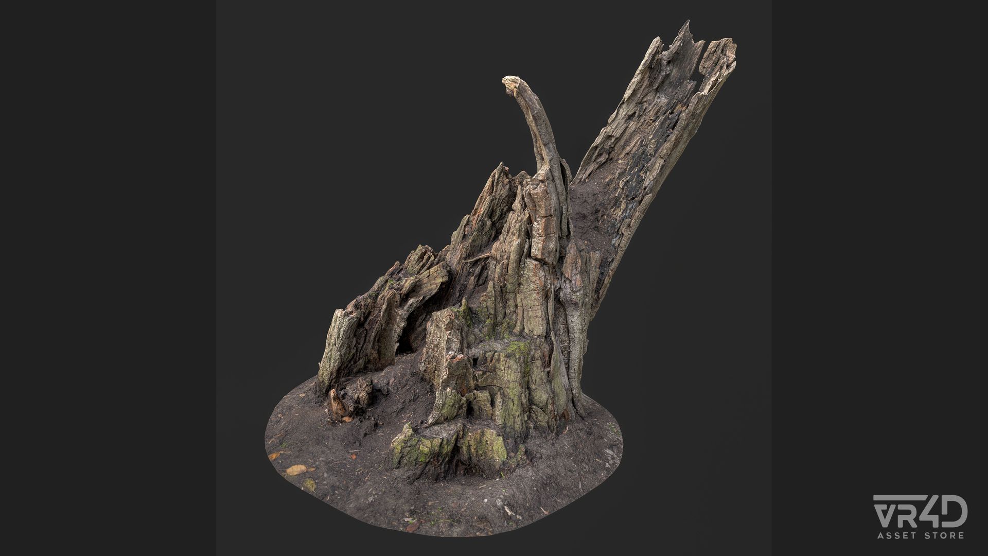 Weathered Tree Stump 3D Model | Fab