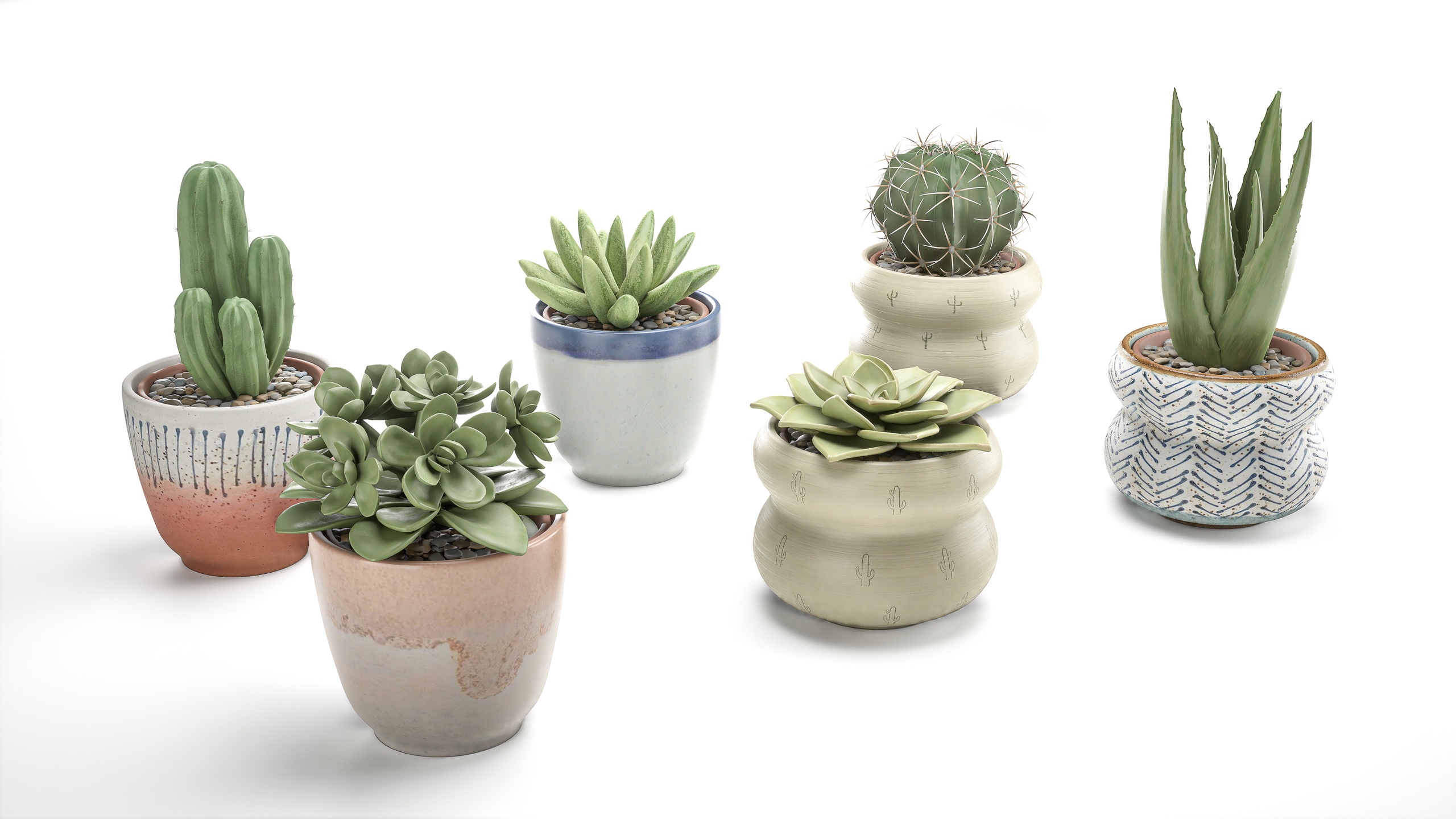 ceramic potted cactus set 제품 등록을 위한 미디어 1개