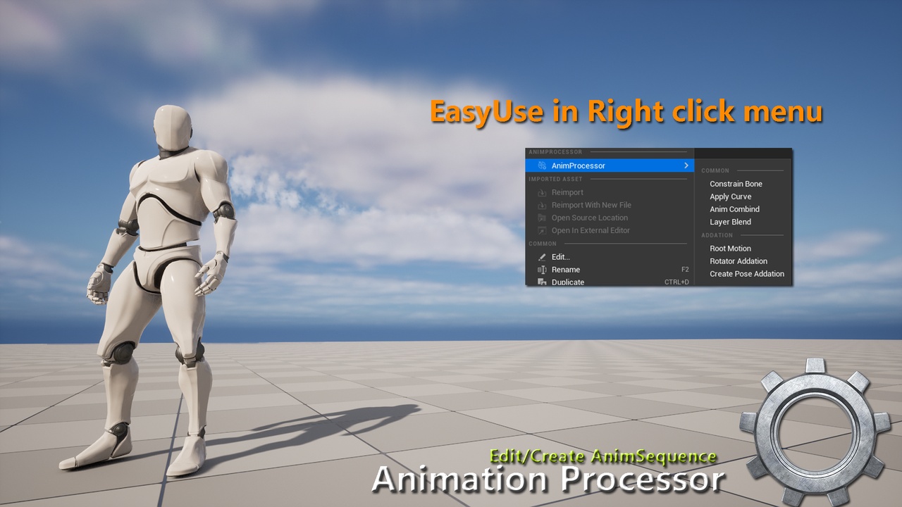 Animation Processor