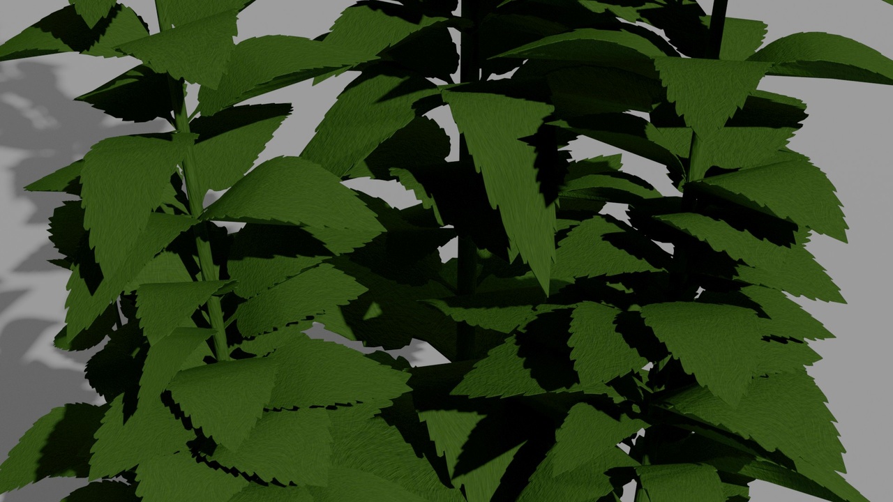 Media 1 for listing Mint Plant 3D Vegetation