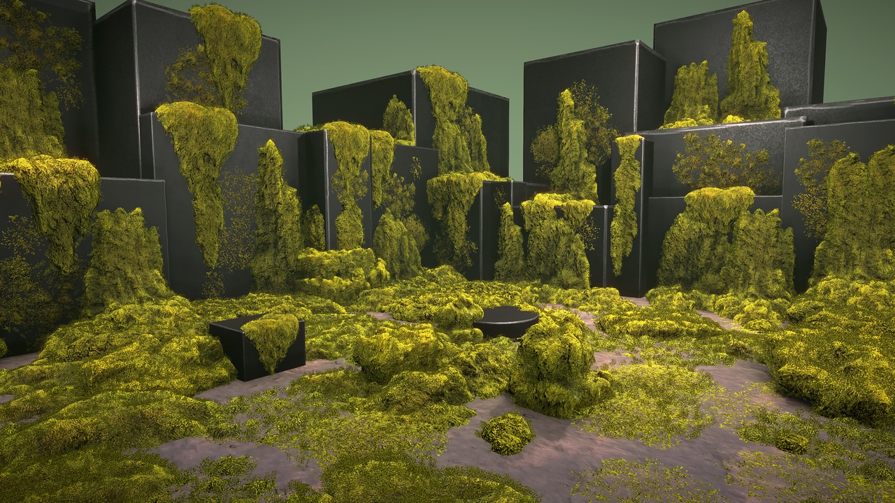 Média 1 pour l'article Mossy piles