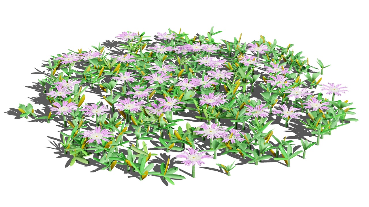 Media 1 for listing UK Purple Dewplant 3D Model Pack