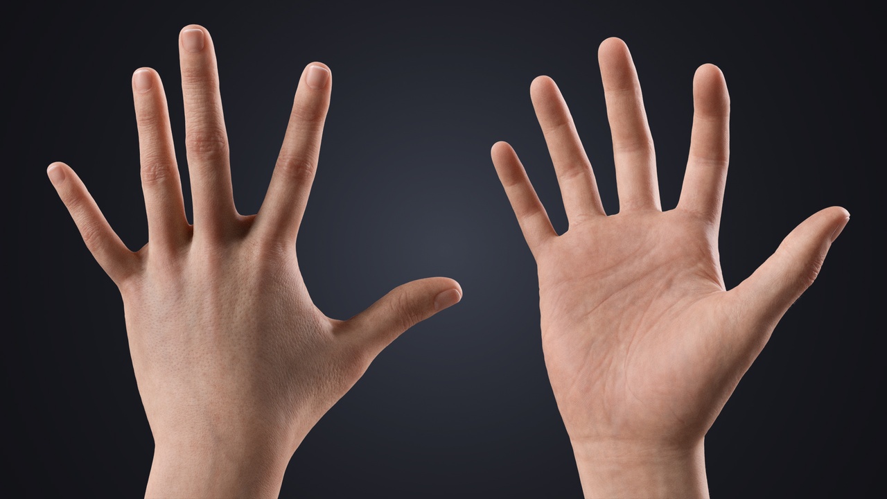 الوسائط 1 للقائمة V-ARM 05 Realistic Neutral Hands & Arms