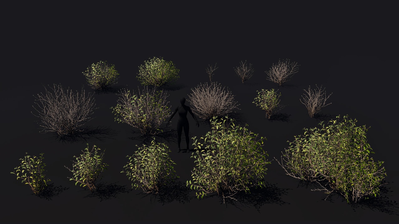 Multimedia 1 para anuncio Game ready 15 bushes set