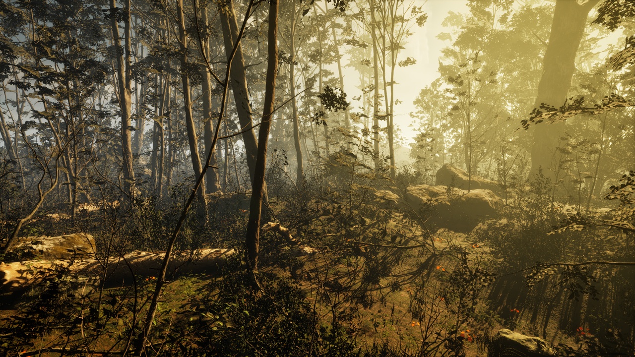 Media 1 for listing PCG Forest