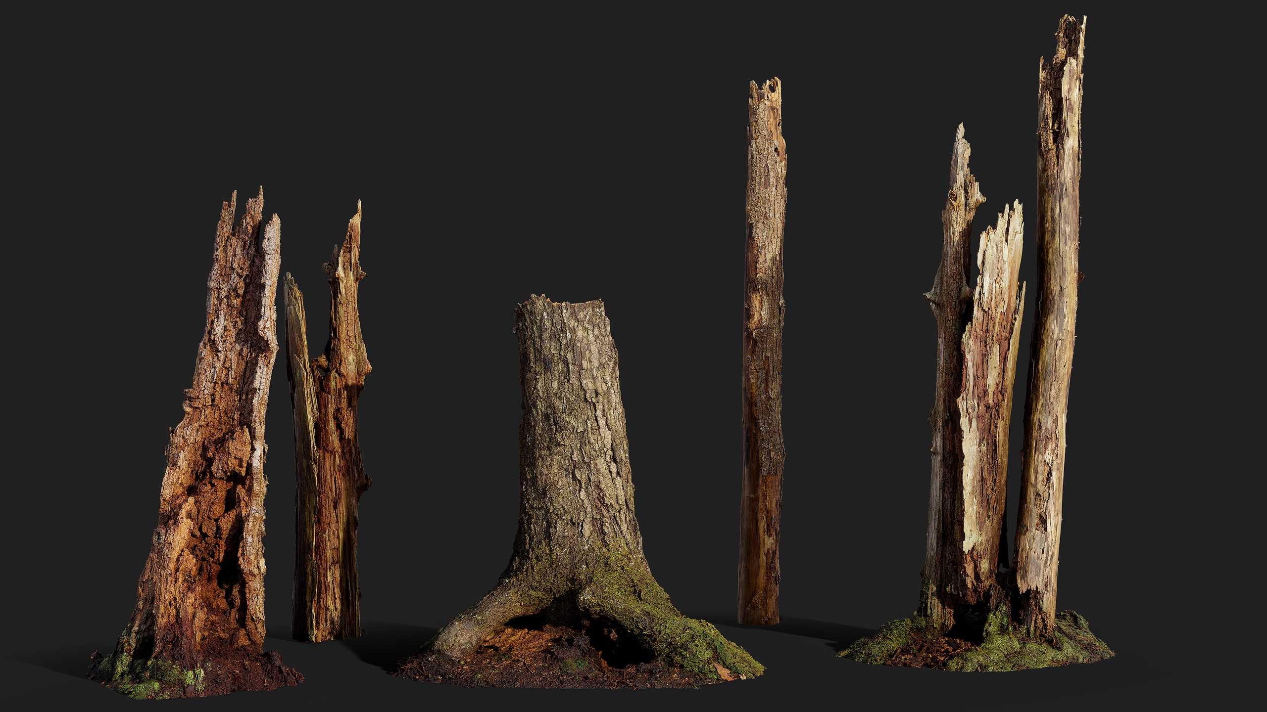 Media 1 for listing Broken Tree Stumps 01