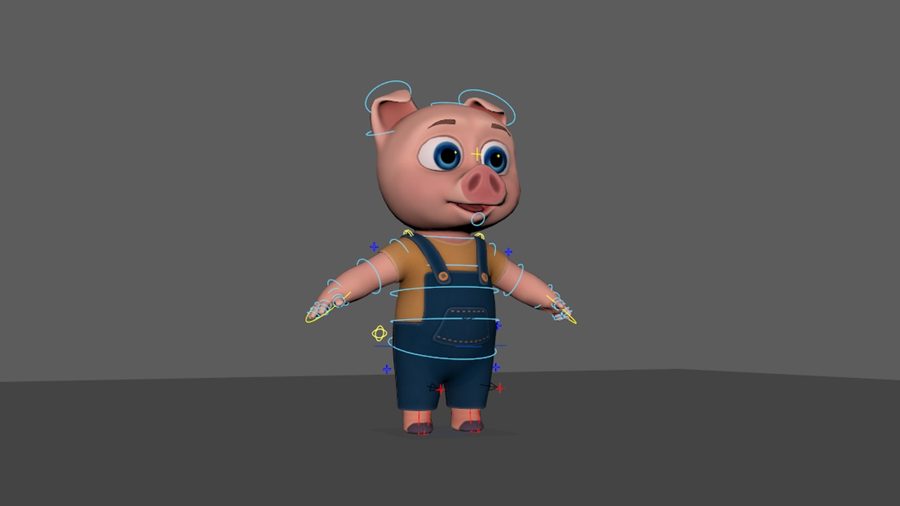 Media 1 for listing Piggy Rig