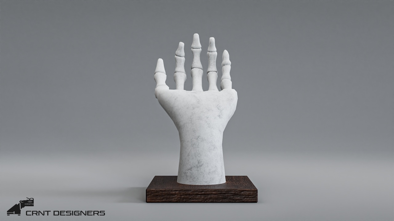 Media 1 for listing Human Hand Skeleton Lowpoly 3D model