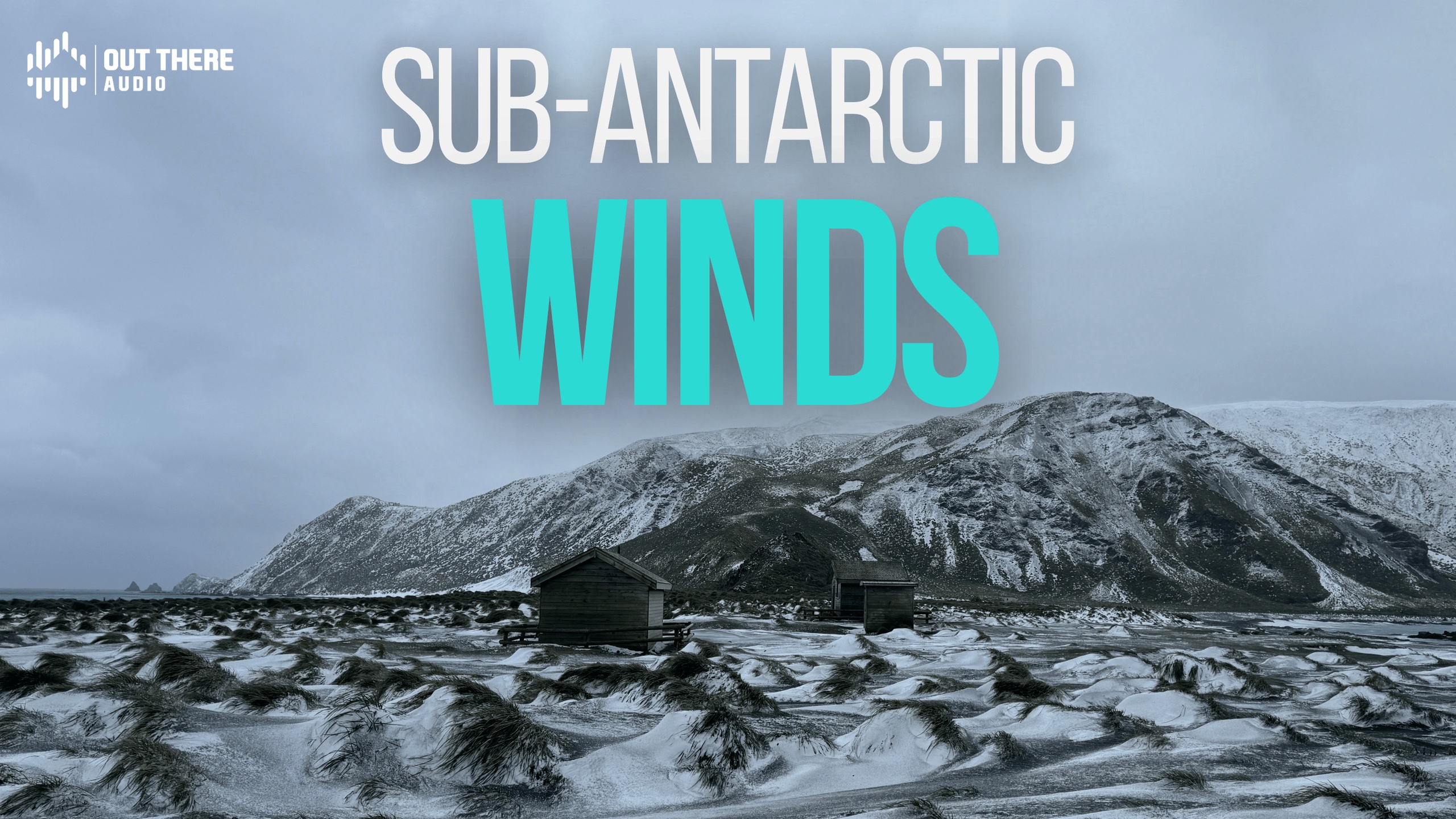 Media 1 for listing Sub-Antarctic Winds