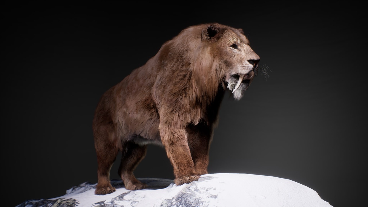 Media 1 for listing The Sabertooth