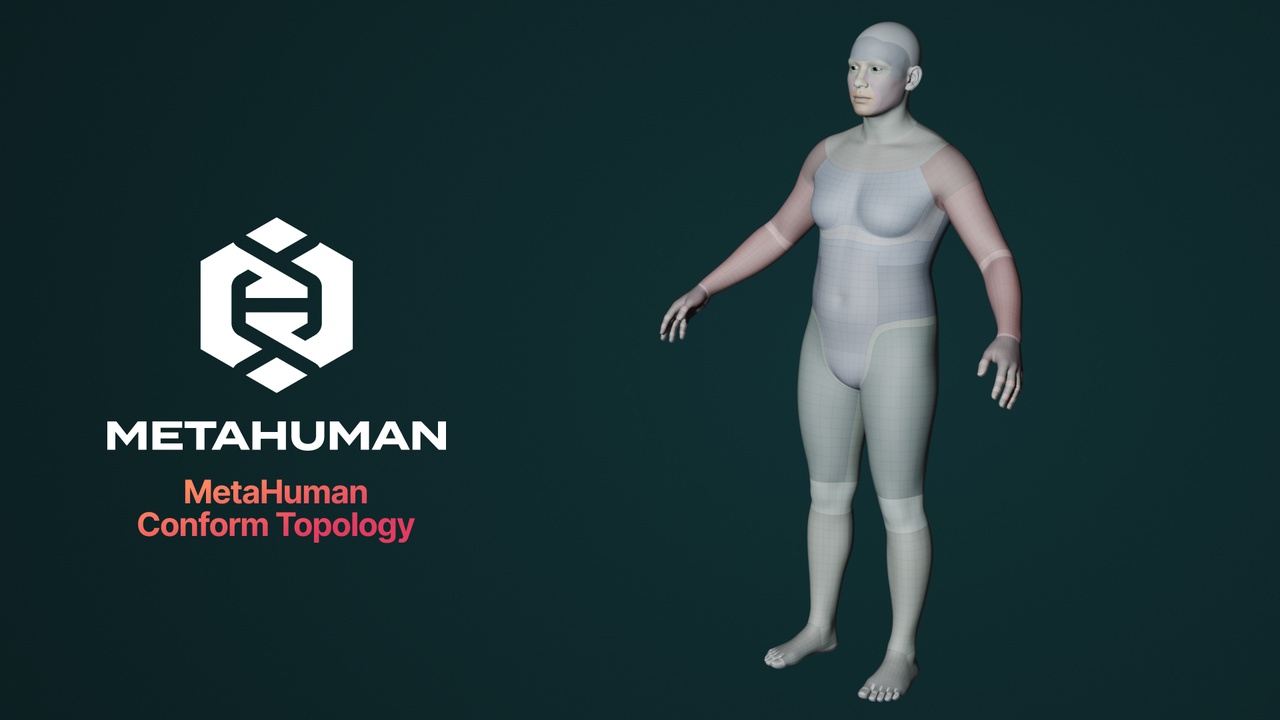 Media 1 for listing MetaHuman Conform Topology