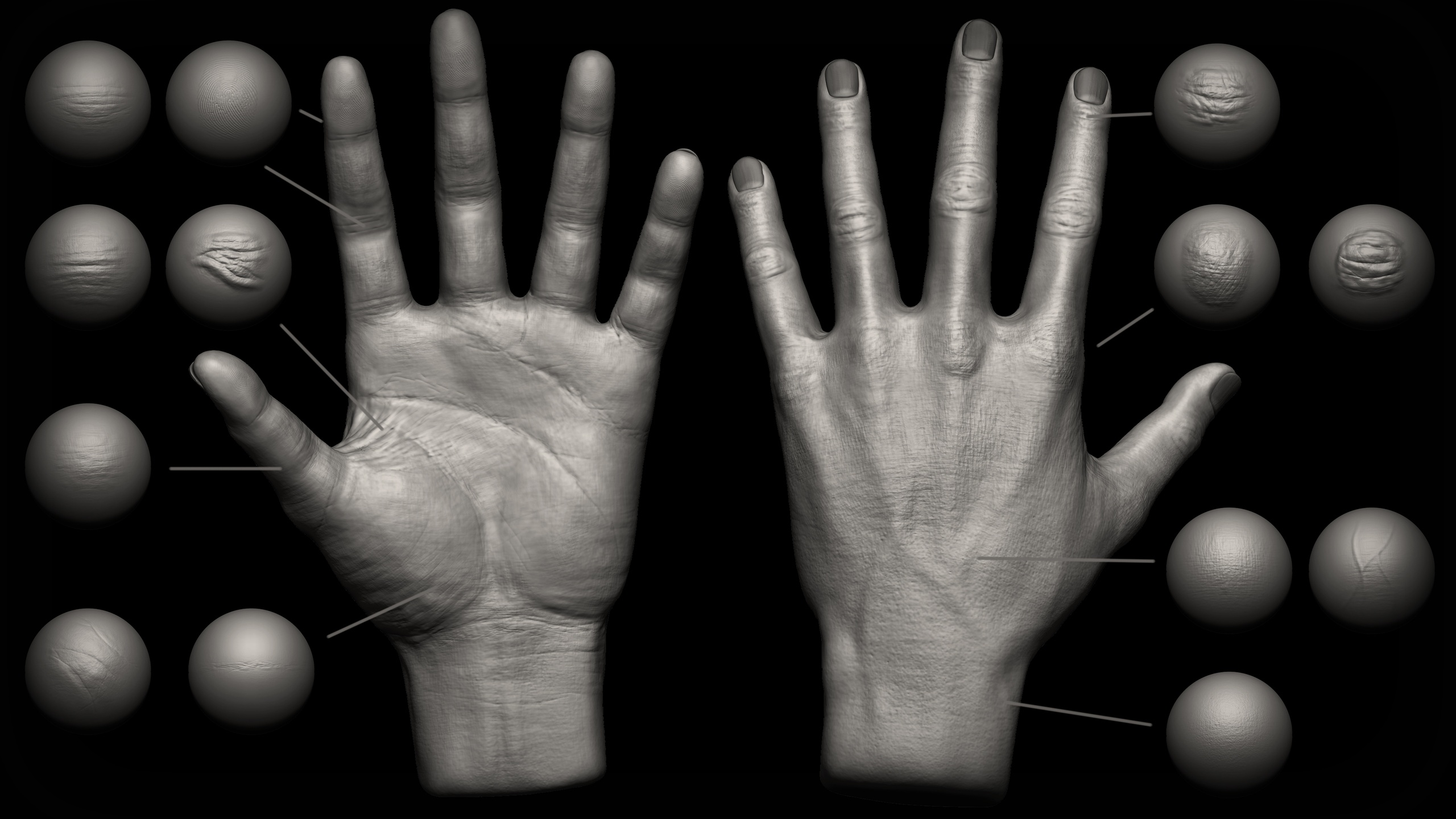 Media 1 for listing 15 Hand Details Brush + Alphas