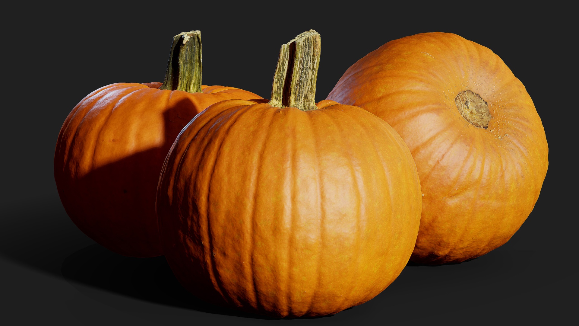 Media 1 for listing Sugar Pumpkins 01