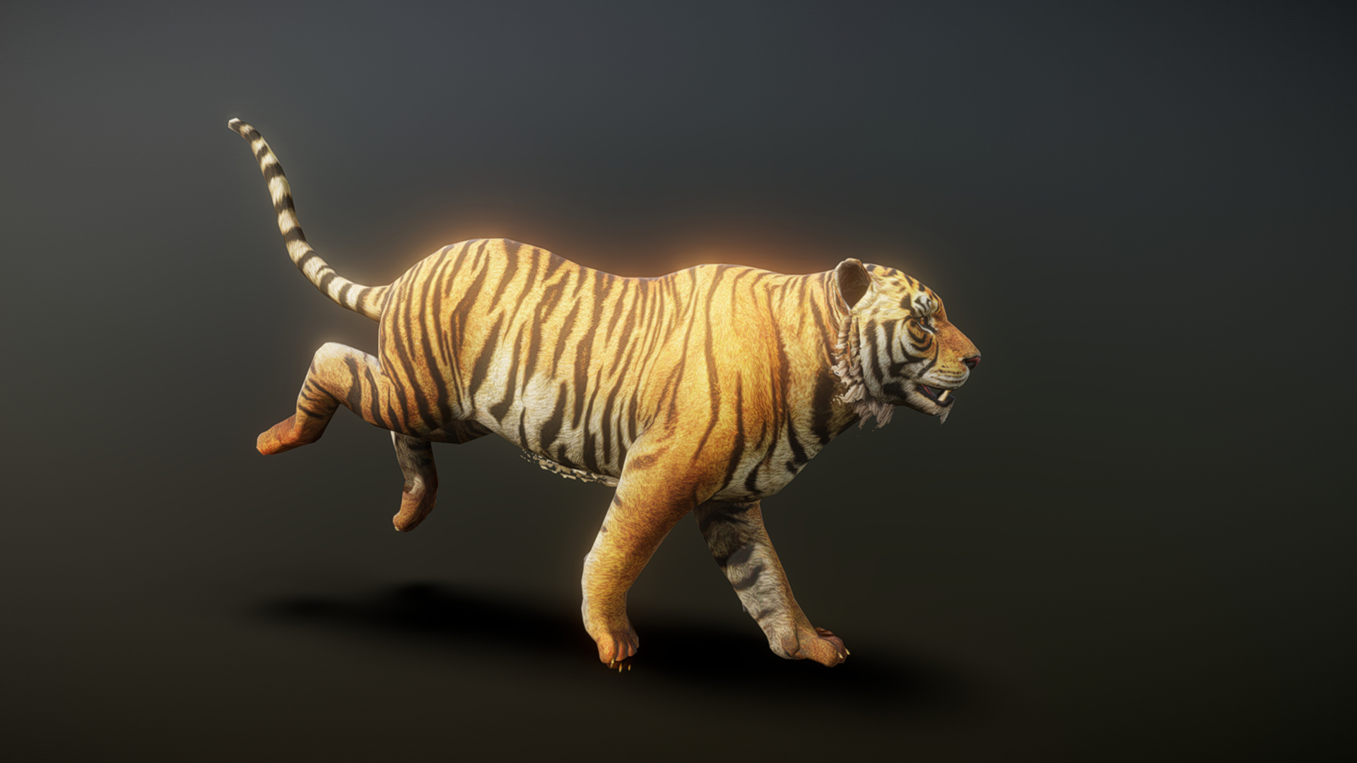 Tiger Reference Animation Tiger Running Binding Animation C | Fab