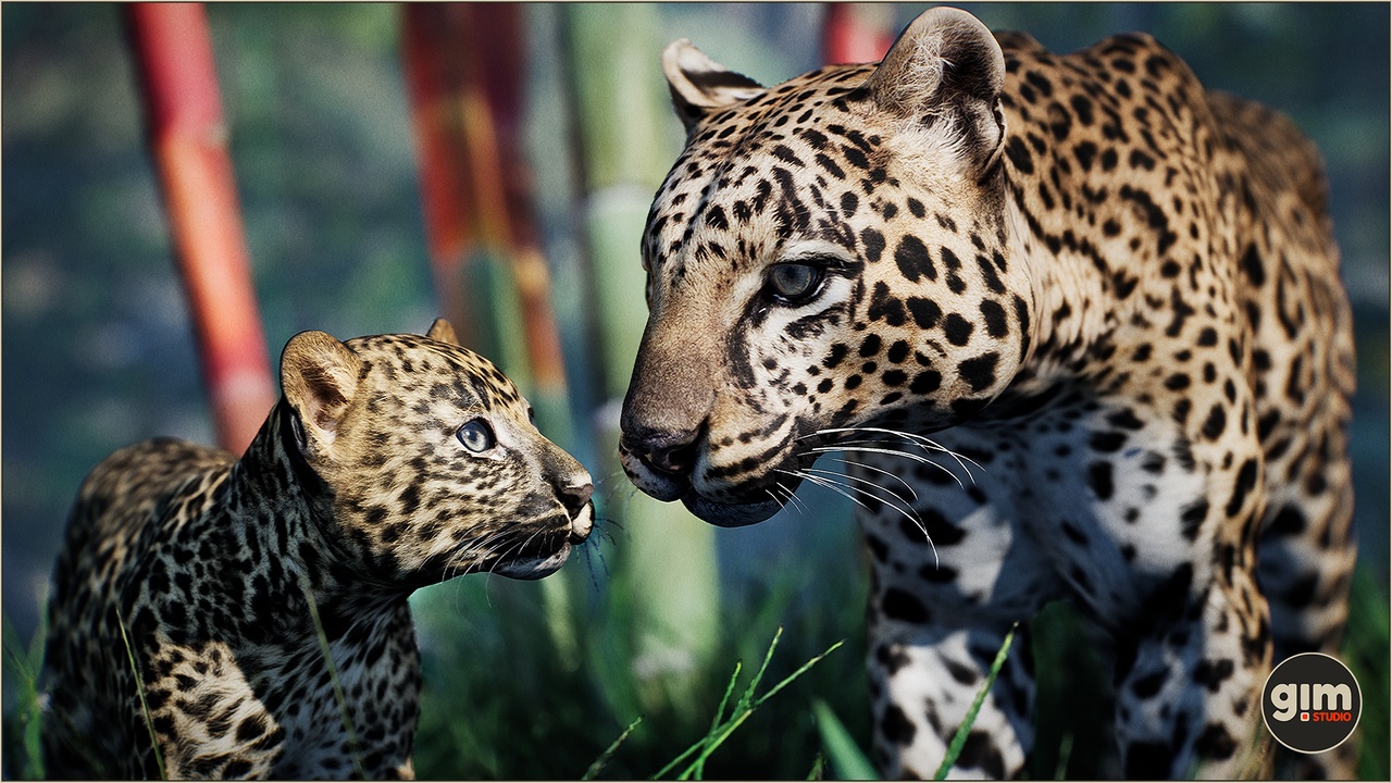 Media 1 for listing Animalia - Leopard (pack)