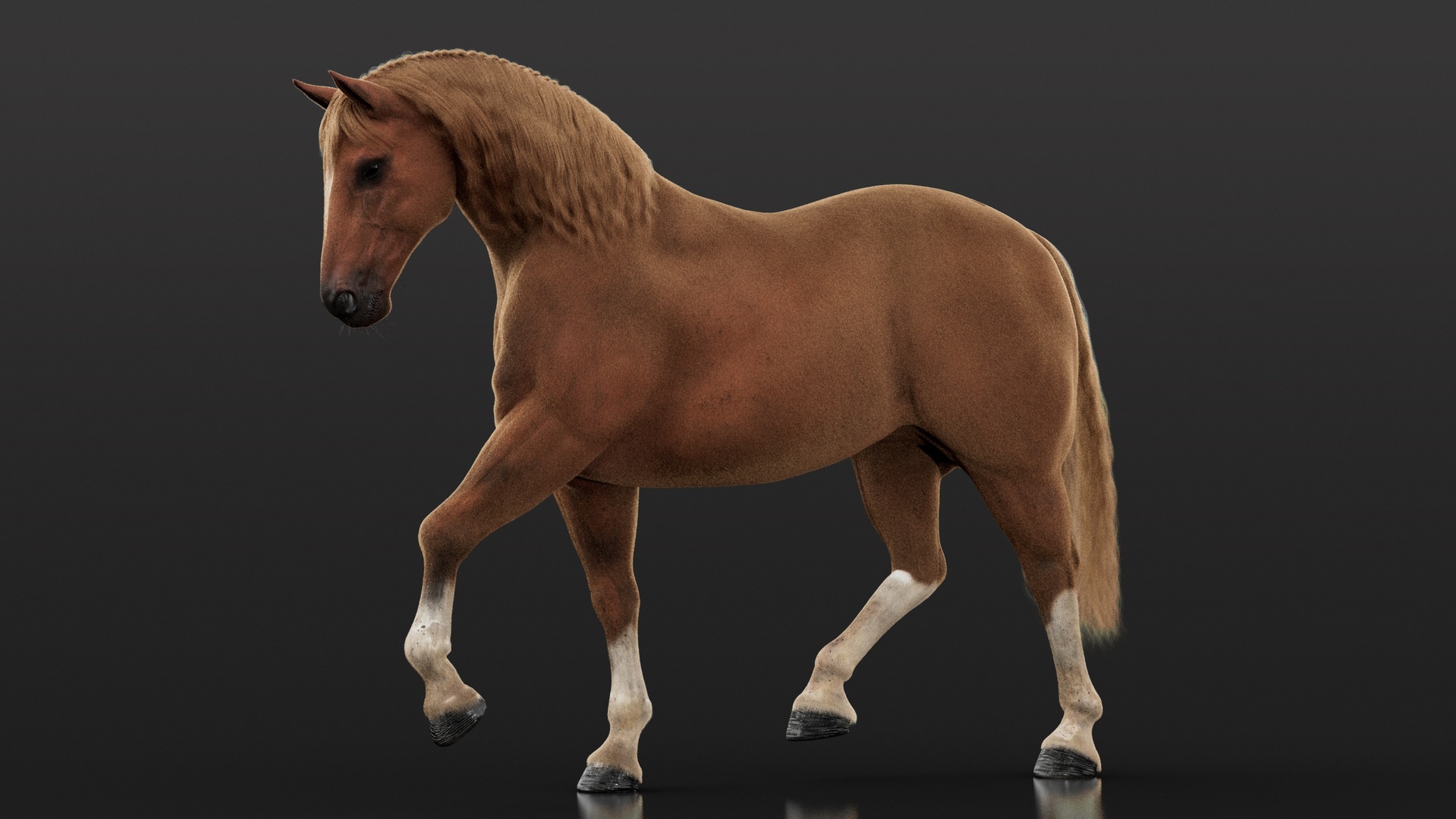Media 1 for listing Brown Horse RIG Maya Xgen-core