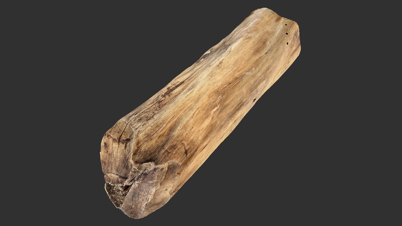 Media 1 for listing Piece of Raw Wood 3D Scan in highpoly