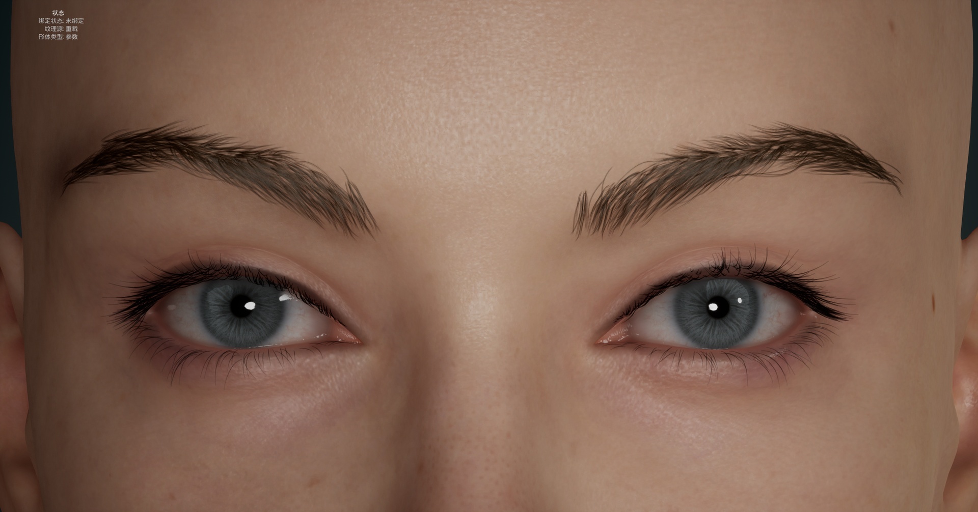 Media 1 for listing A brow groom for MetaHuman Creator 01