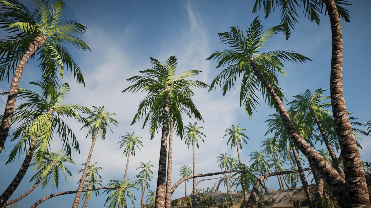 Media 1 for listing Desktop Palm Trees 1 (PC/Console)