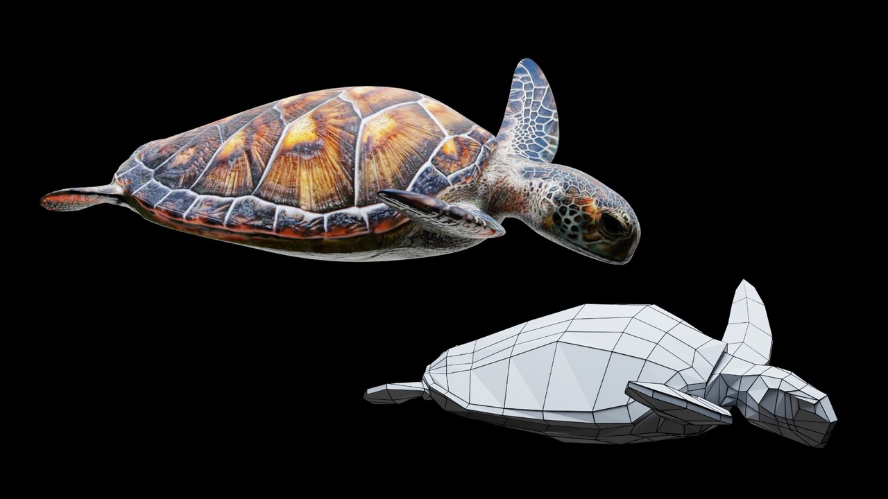 Animated Sea Turtle | Fab