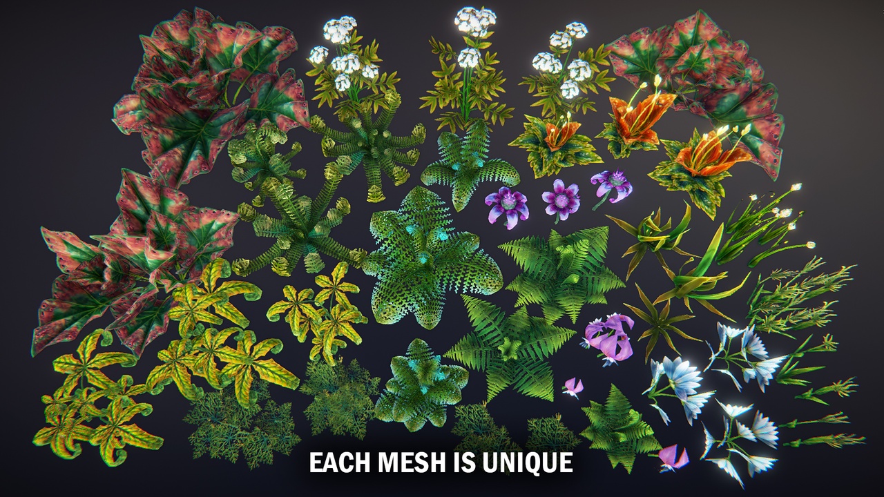 Média 1 pour l'article Small plants