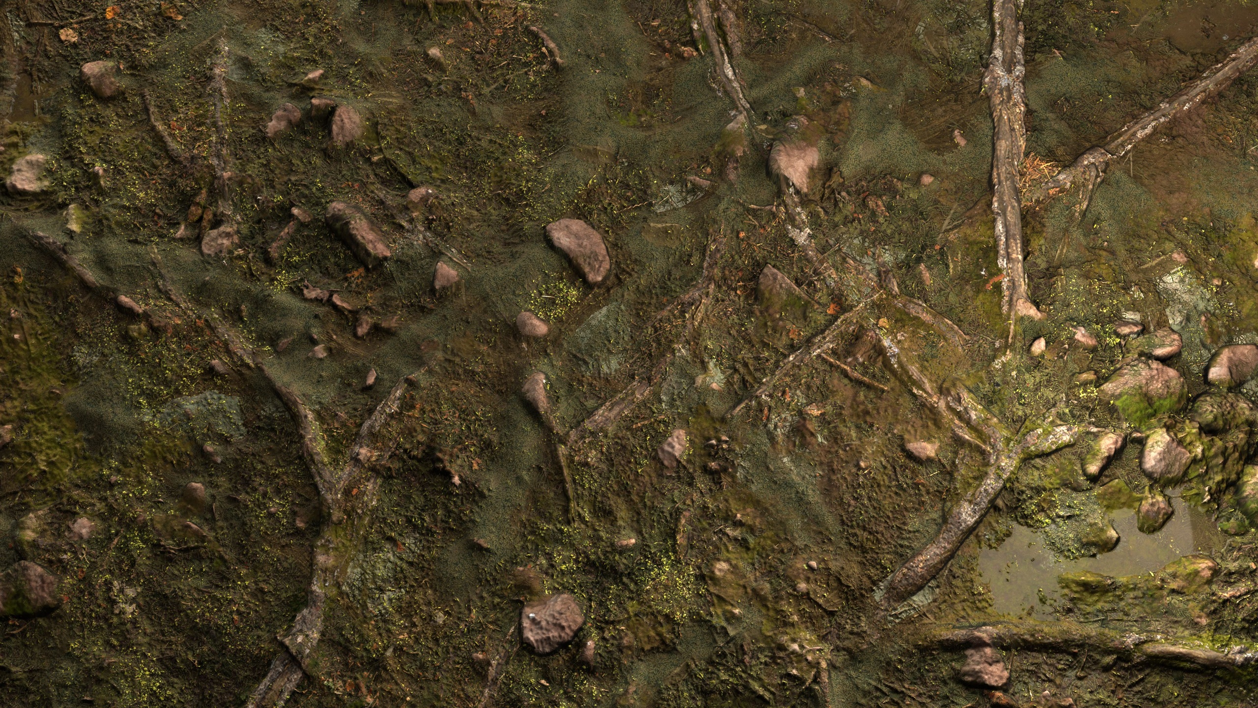 Media 1 for listing Wet Forest Floor 8K PBR Texture