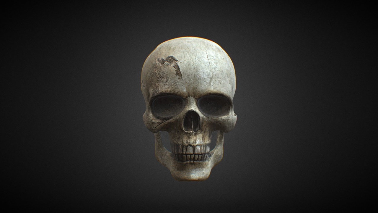 出品Skullのメディア1