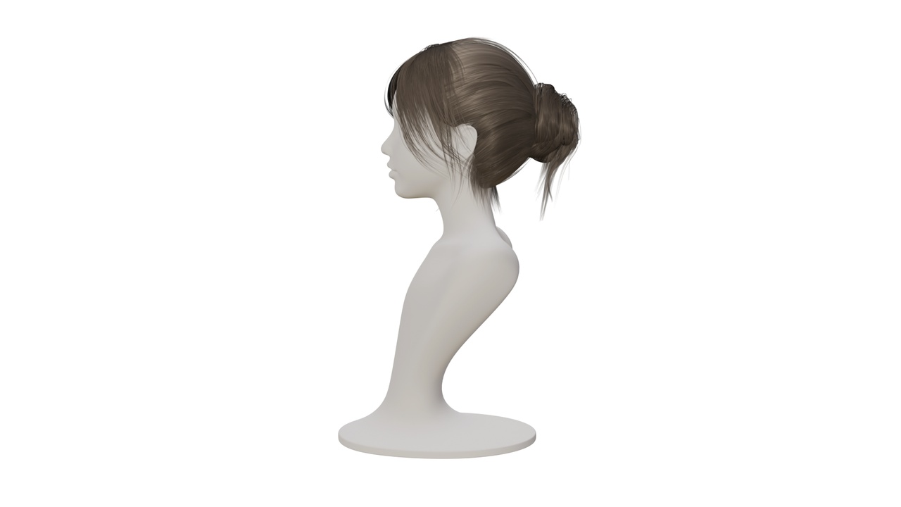 Media 1 for listing Realistic Woman Bun Hair Style