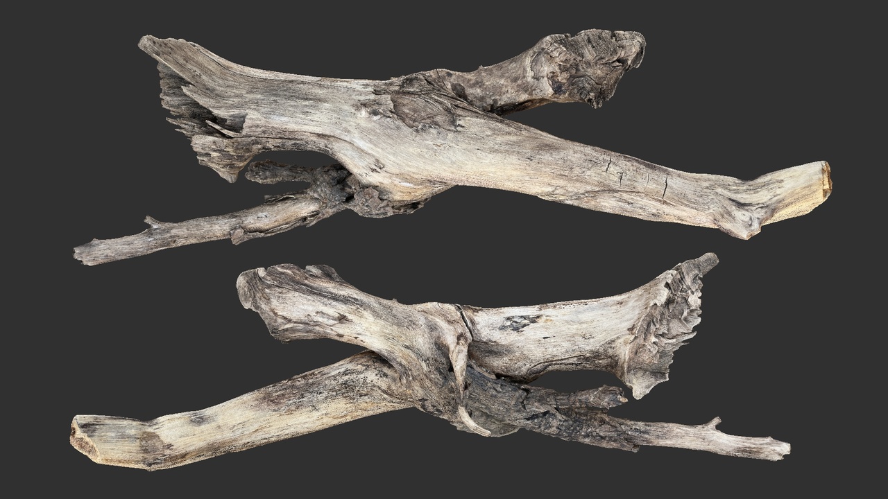 Media 1 for listing Realistic Tree Branch Trunk Wood 3D Scan in highpoly