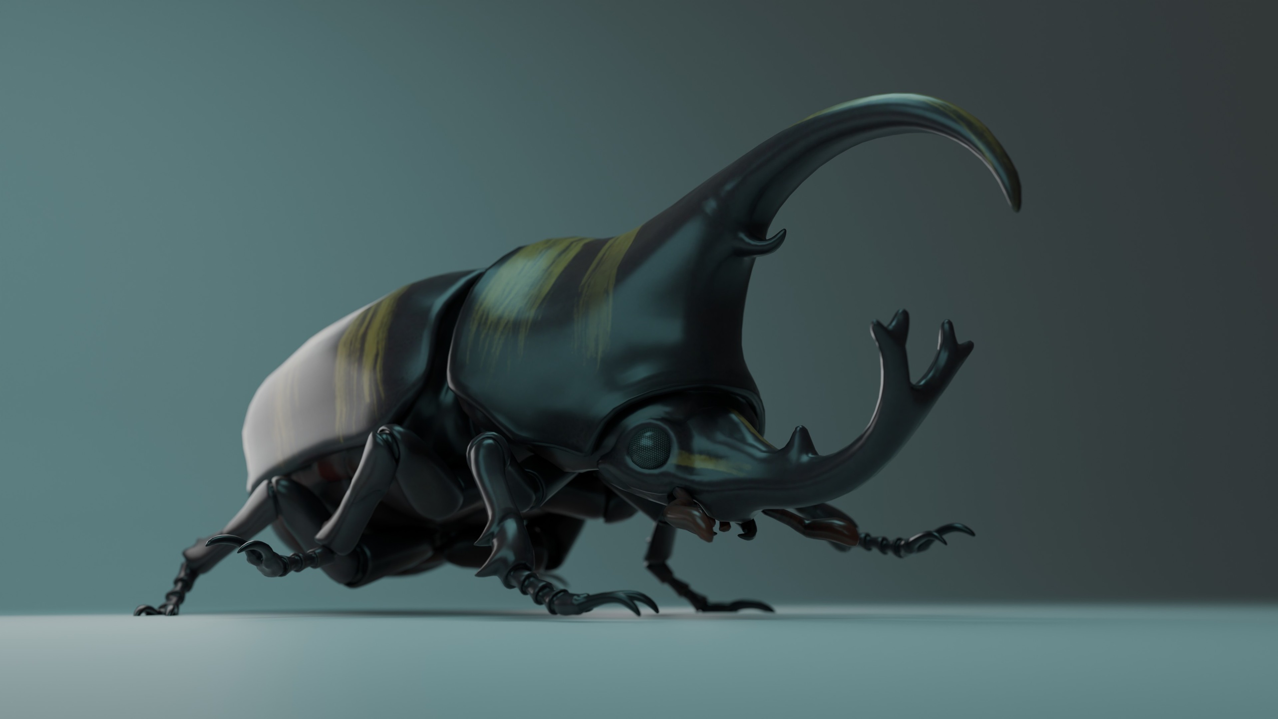 Media 1 for listing Beetle