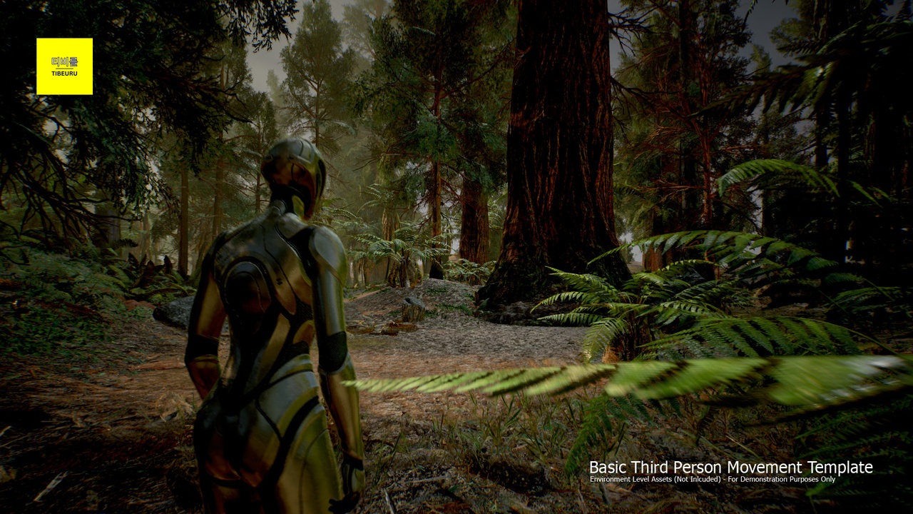 Media 1 for listing Tibeuru's Enhanced Third Person Template - Basic