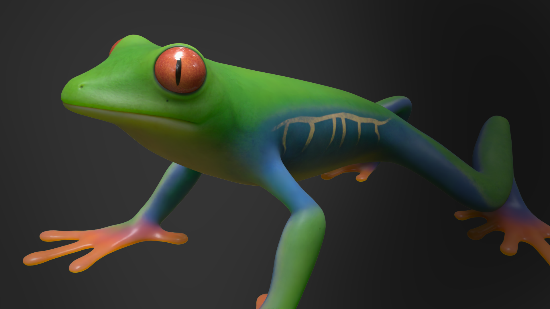 Tree Frog | Fab