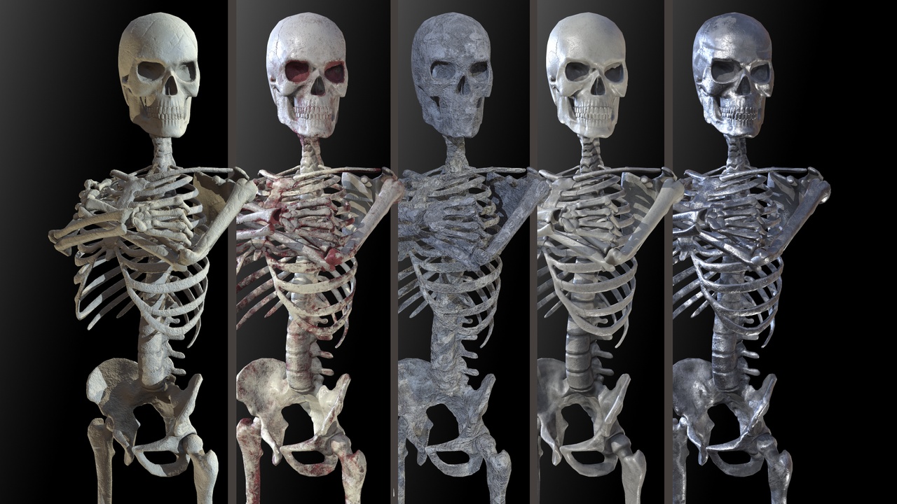 出品Modular skeletonのメディア1