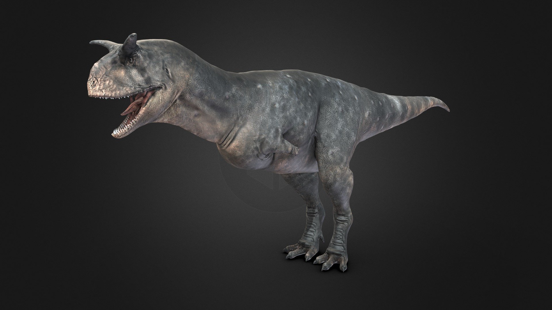 carnotaurus-sastrei-rigged-fab